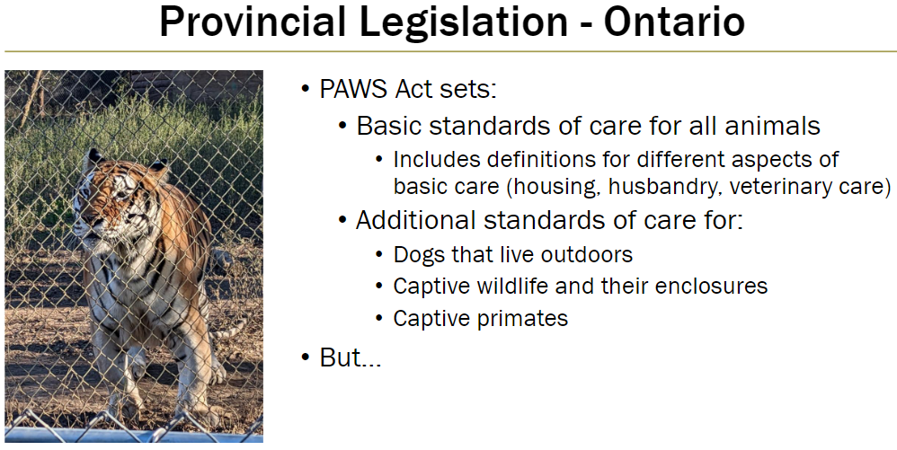 <p><strong>Basic Standards</strong><br> Sets minimum standards of care for all animals<br> Includes definitions for housing, husbandry, and veterinary care</p><p><strong>Additional Standards</strong><br> Dogs that live outdoors<br> Captive wildlife and their enclosures<br> Captive primates</p>