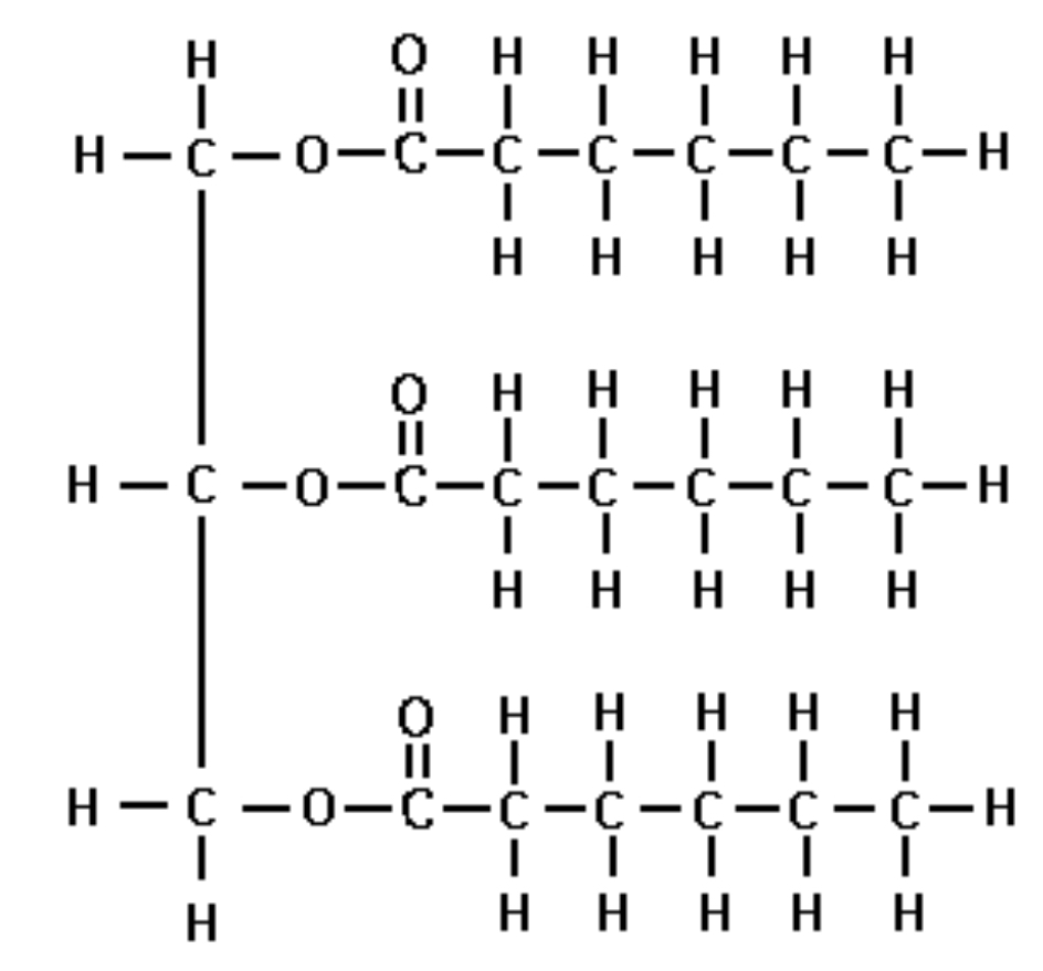 <p>A fat molecule is composed of three fatty acids (can be the same or different kinds) that are joint to glycerol by an ester linkage.</p>