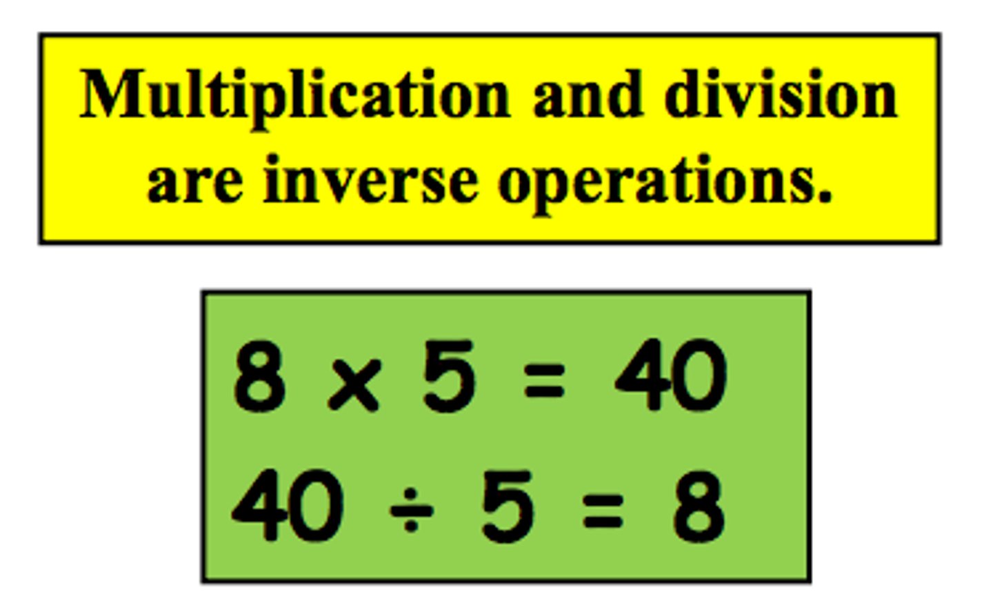 <p>division</p>