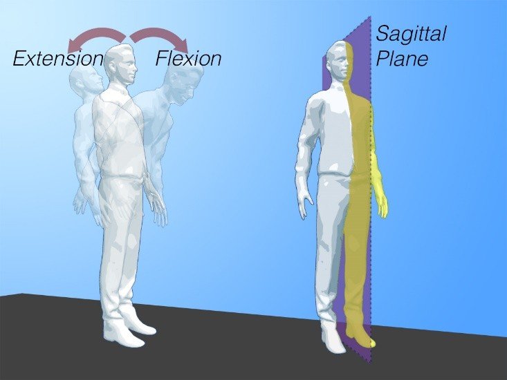 <p>Extension </p>