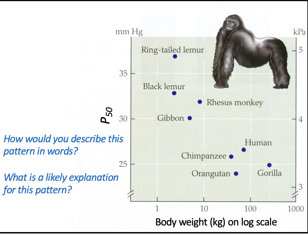 <p>what does this graph show?</p>