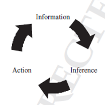 <p>Where is OP in the investigative cycle? </p>
