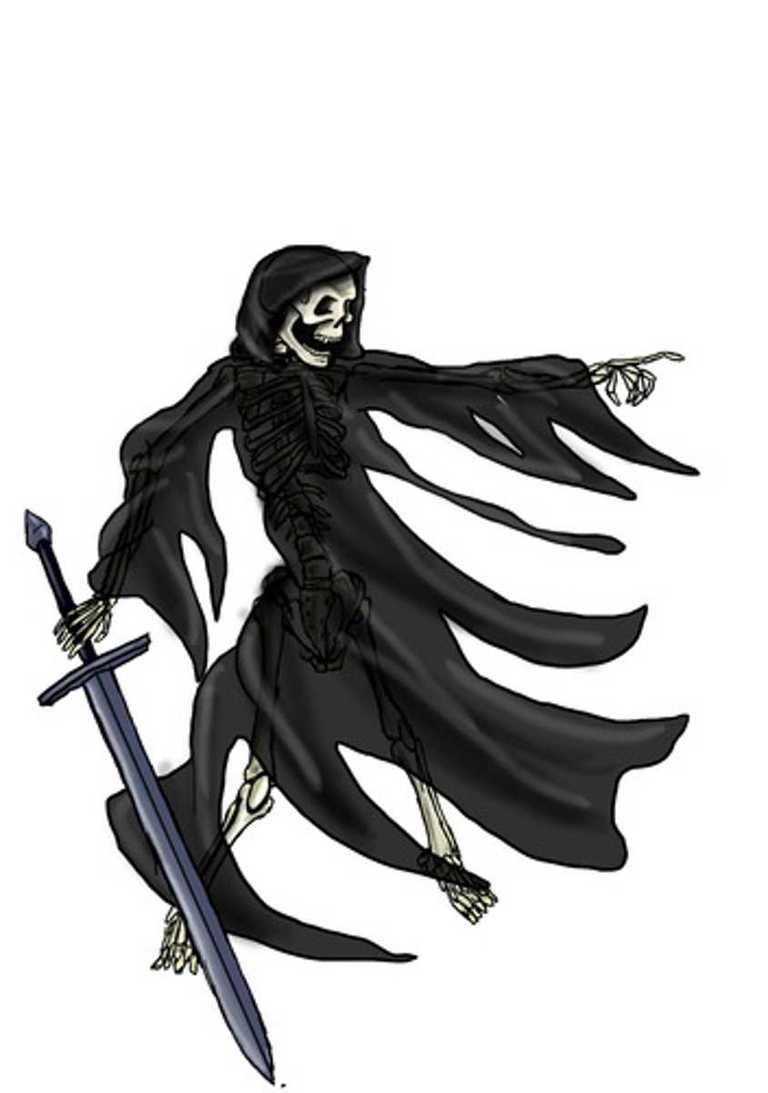 <p>(n.) A ghostlike figure or apparition, often</p><p>associated with death or the supernatural</p>