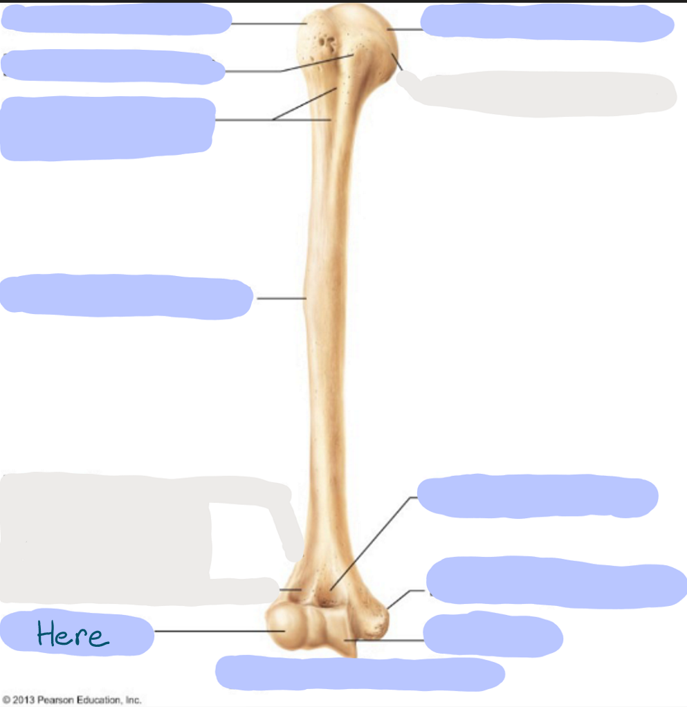 <p>What is here?</p>