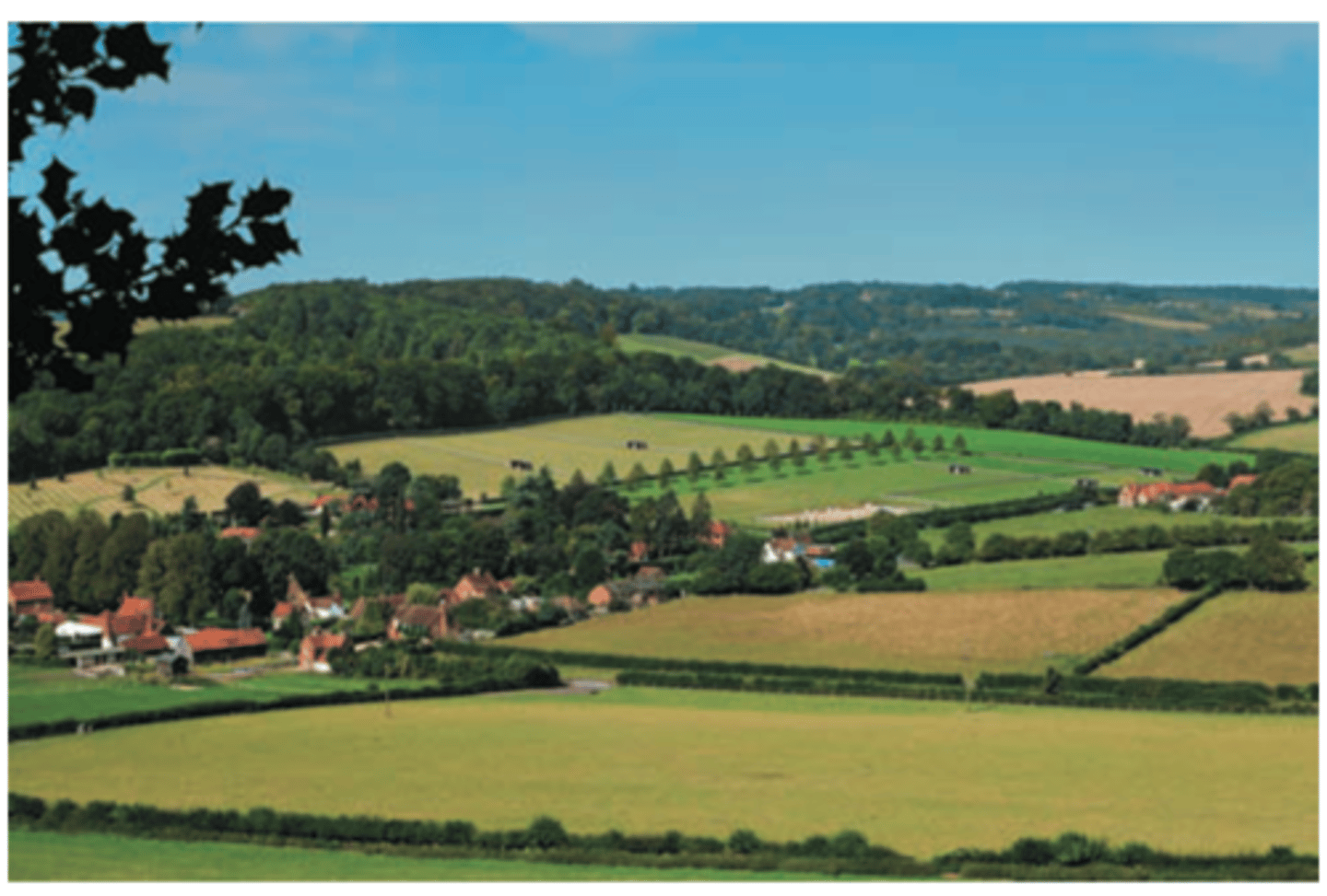 <p>some corridors are human made </p><p>----------------</p><p>FEATURES:</p><p>- some may be narrow line corridors, which include hedgerows, lines of trees, bridges over streams, highway medians</p>