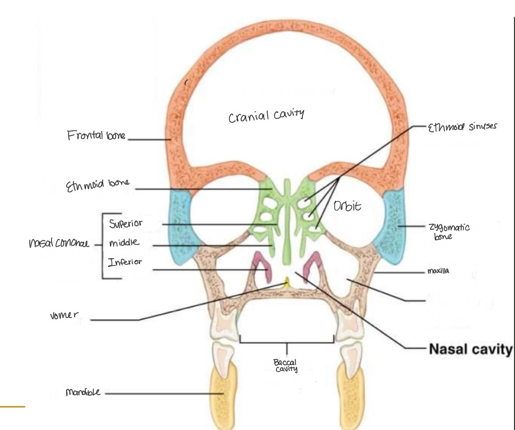 <p><br>label missing word on diagram</p>