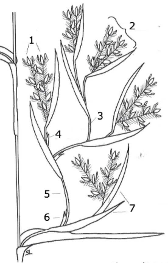 <p>what is 3?</p>