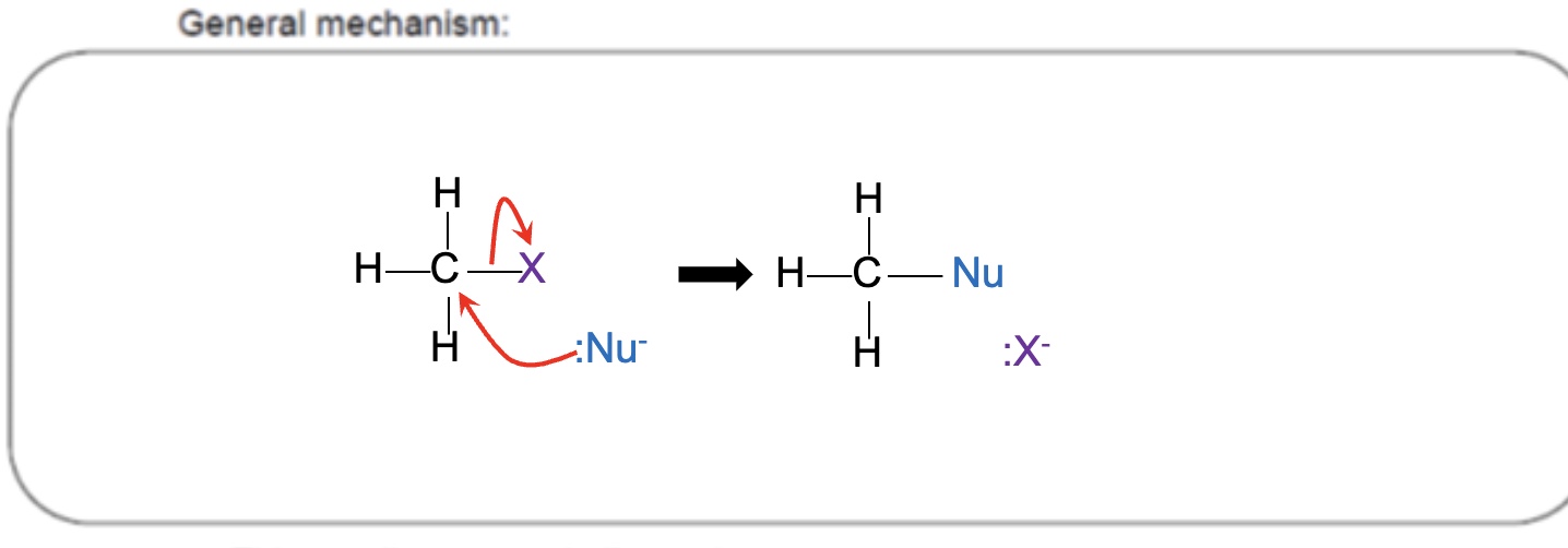 <ol><li><p>the lone pair on nucleophile forms a covalent bond with the δ+ carbon atom — this is shown using a curly arrow </p></li><li><p>the electrons in the C-X bond move onto the halogen atom, breaking the C-X bond — this is shown using a curly arrow </p></li><li><p>by gaining the electrons from the bond, the halogen forms a halide ion </p></li></ol>