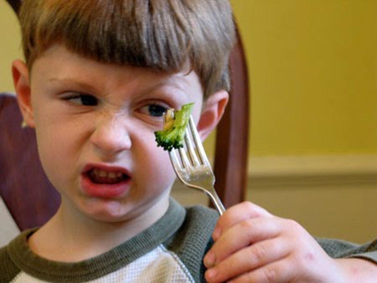 <p>strong dislike</p>