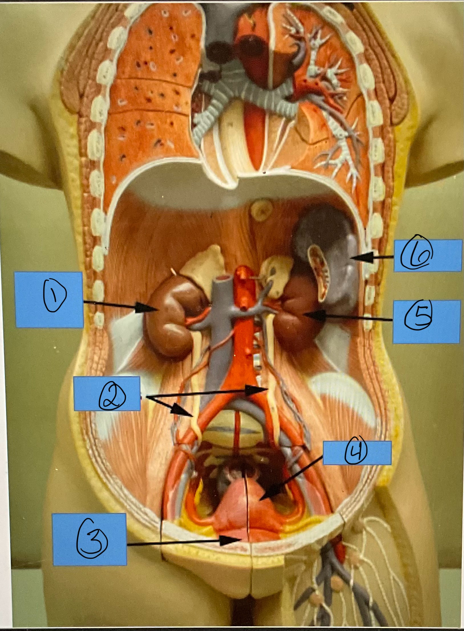 <p>What is 3?</p>