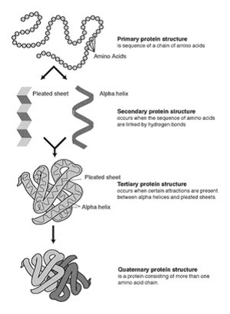 <p>A group of biomacromolecules that interact with biological systems and their environments.</p>