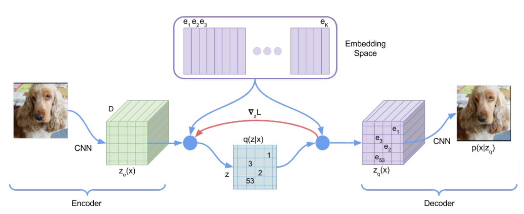 <ul><li><p>encodes the input into a discrete latent space</p></li><li><p>uses hard quantization: assigns each embedded input vector to the nearest vector from a fixed codebook</p></li><li><p>decodes from the assigned codebook vectors</p></li></ul><p></p><p>(It's called variational because  it models discrete latent variables with approximate inference, using quantization as a discrete bottleneck instead of a continuous distribution.)</p><p></p>