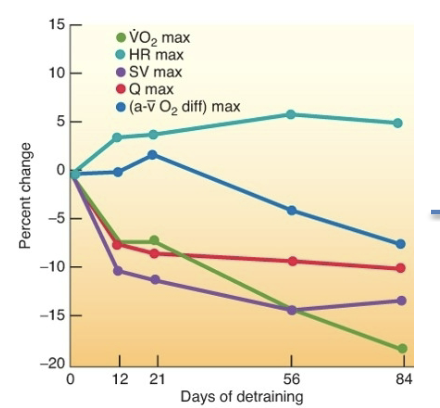 <p>Reversibility principle</p>