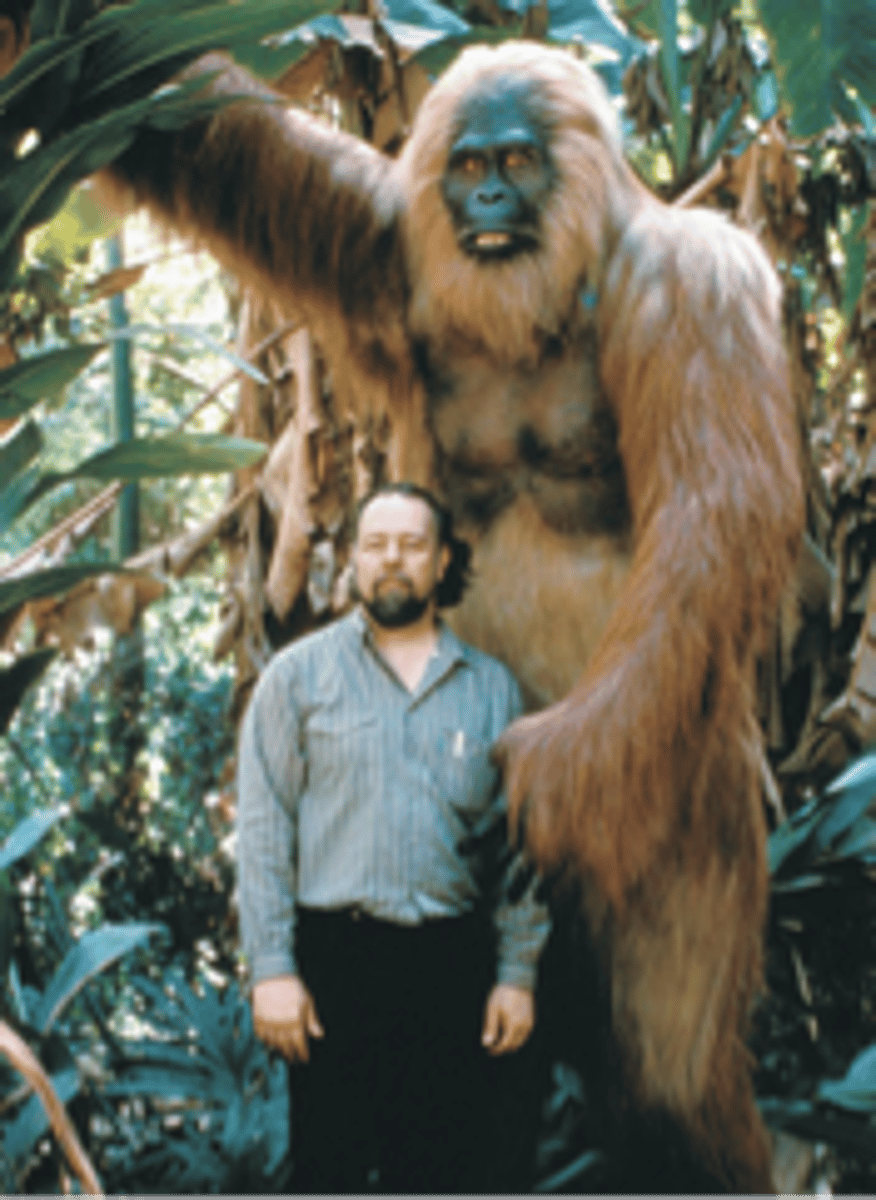 <p>- Largest primate that ever lived</p><p>- 400 to 700 lbs</p>