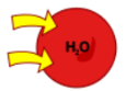 <p>Hypotonic</p>