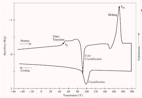 <ul><li><p><span>For polymers with low crystallinity, possessing the ability to crystallize, at a characteristic temperature above Tg known as the <strong>crystallization temperature Tc</strong></span></p></li><li><p><span>At this temperature, the polymer chains will have sufficient energy to move into a highly ordered crystalline state.</span></p></li><li><p><span>This arrangement of the polymer chains into a crystalline state is an exothermic process.</span></p></li></ul><p></p>