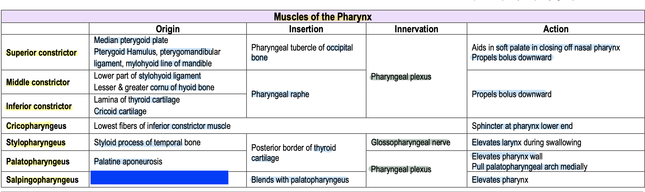 knowt flashcard image