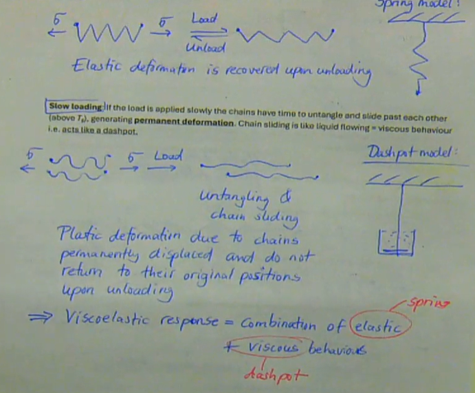 <ul><li><p>Rate of loading:<br>→ Fast loading: if the load on a polymer is applied very fast, the chains do not have time to untangle and slide past each other. Elastic deformation occurs by stretching of the bonds in the chain, i.e. acts like a spring. Elastic deformation is recovered upon loading.<br>→ Slow loading: If the load is applied slowly the chains have time to untangle and slide past each other (above Tg), generating permanent deformation. Chain sliding is liquid liquid flowing = viscous behaviour, i.e. acts like a dashpot. Plastic deformation due to chains permanently displaced and do not return to their original positions upon loading<br><br>this demonstrates the viscoelastic response of polymers → combination of elastic + viscous behaviour </p></li></ul><p></p>
