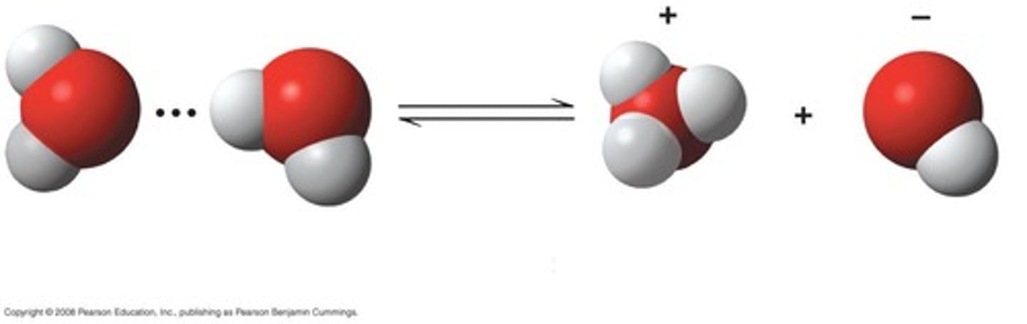 <p>It combines with another water molecule to form a hydronium ion (H3O+).</p>