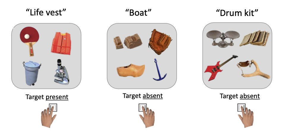 <ul><li><p>Task: Visual search for a target object</p></li><li><p>Conditions: There can be visually related and semantically (meaning) related distractors</p></li><li><p>Primary measure: Eye fixations as a function of time</p></li><li><p>Results: people’s attention is drawn to both visual and semantic distractors, but visual distractors seemed to be more sailent</p></li></ul><p></p>