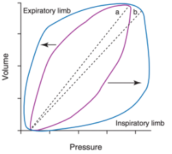 <p>What does loop B indicate in reference to loop A?</p>