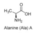 <p>A</p>