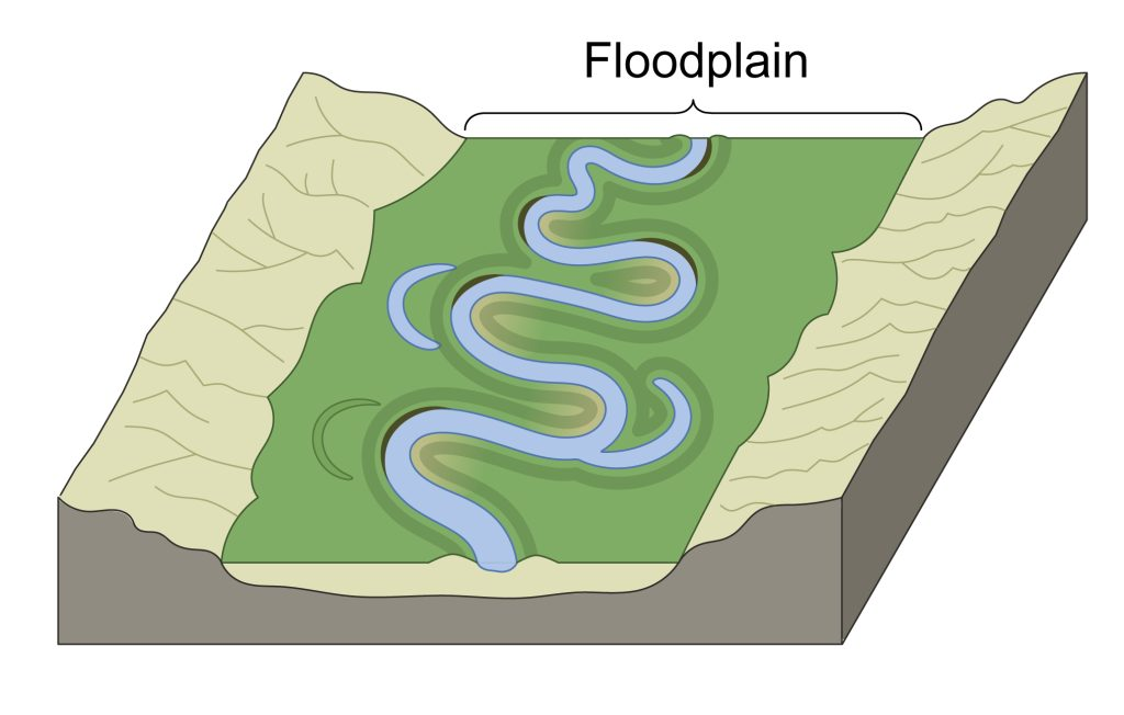 <p>Describe the formation of a floodplain in three stages</p>