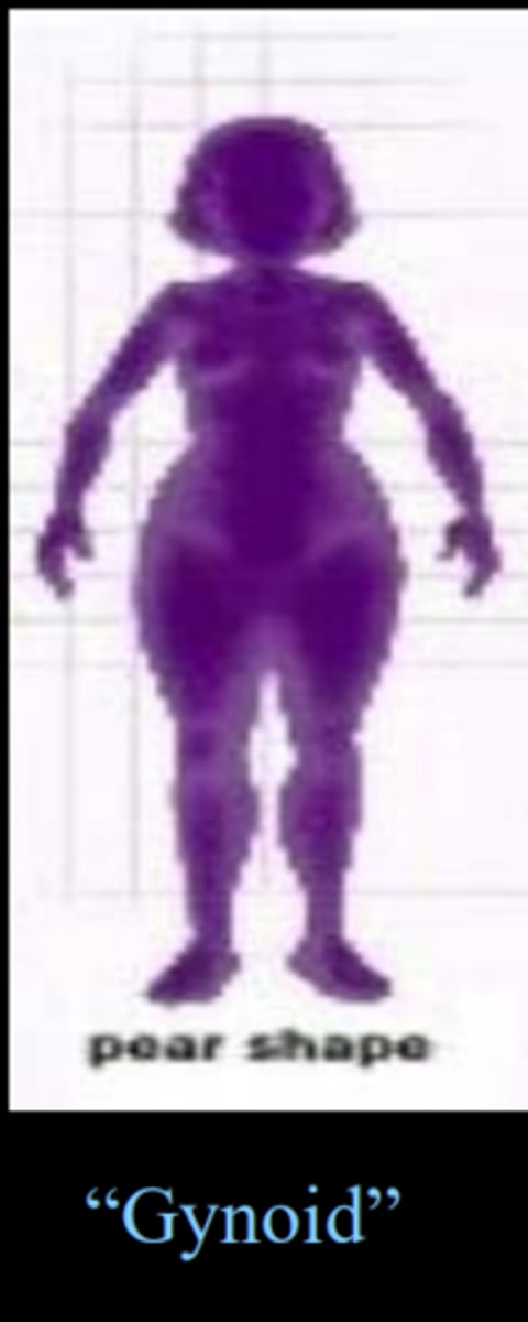 <p>pear shape<br><br>low WHR<br><br>higher fertility, better health, less masculine hormonal profiles</p>