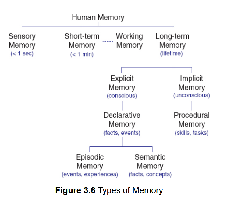 <p>Long-term memory<br>Elaborative rehearsal<br>Implicit memory/nondeclarative memory<br>Procedural memory<br>Priming (positive vs. negative)<br>Explicit/declarative memory<br>Episodic memory<br>Semantic memory<br>Autobiographical memory</p>