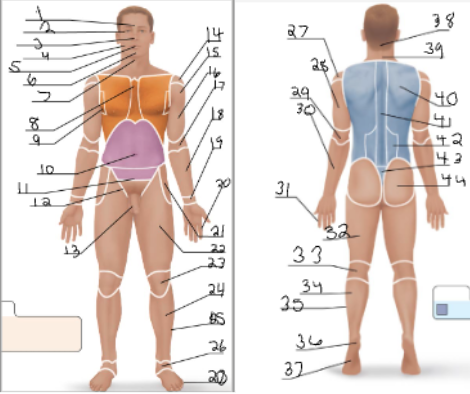 <p>16 + 28</p>