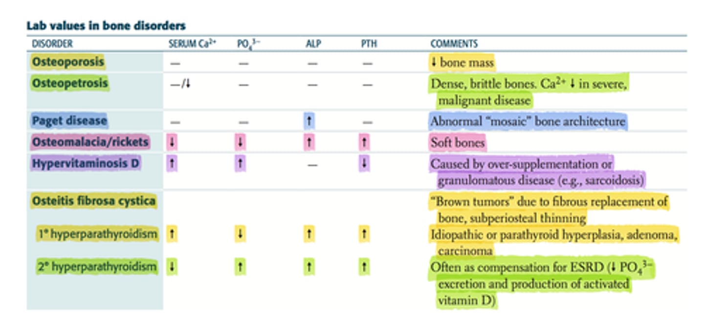 <p>Hypophosphatemia</p><p>Hypocalcemia</p><p>Elevated alkaline phosphatase</p><p>Secondary hyperparathyroidism</p>