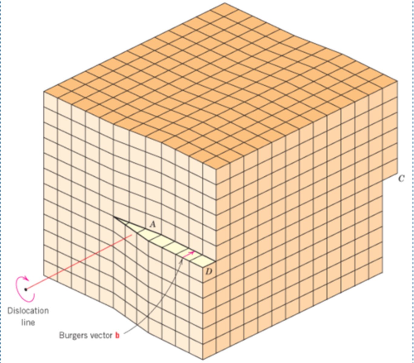 <p>Dislocation line parallel to slip direction</p>