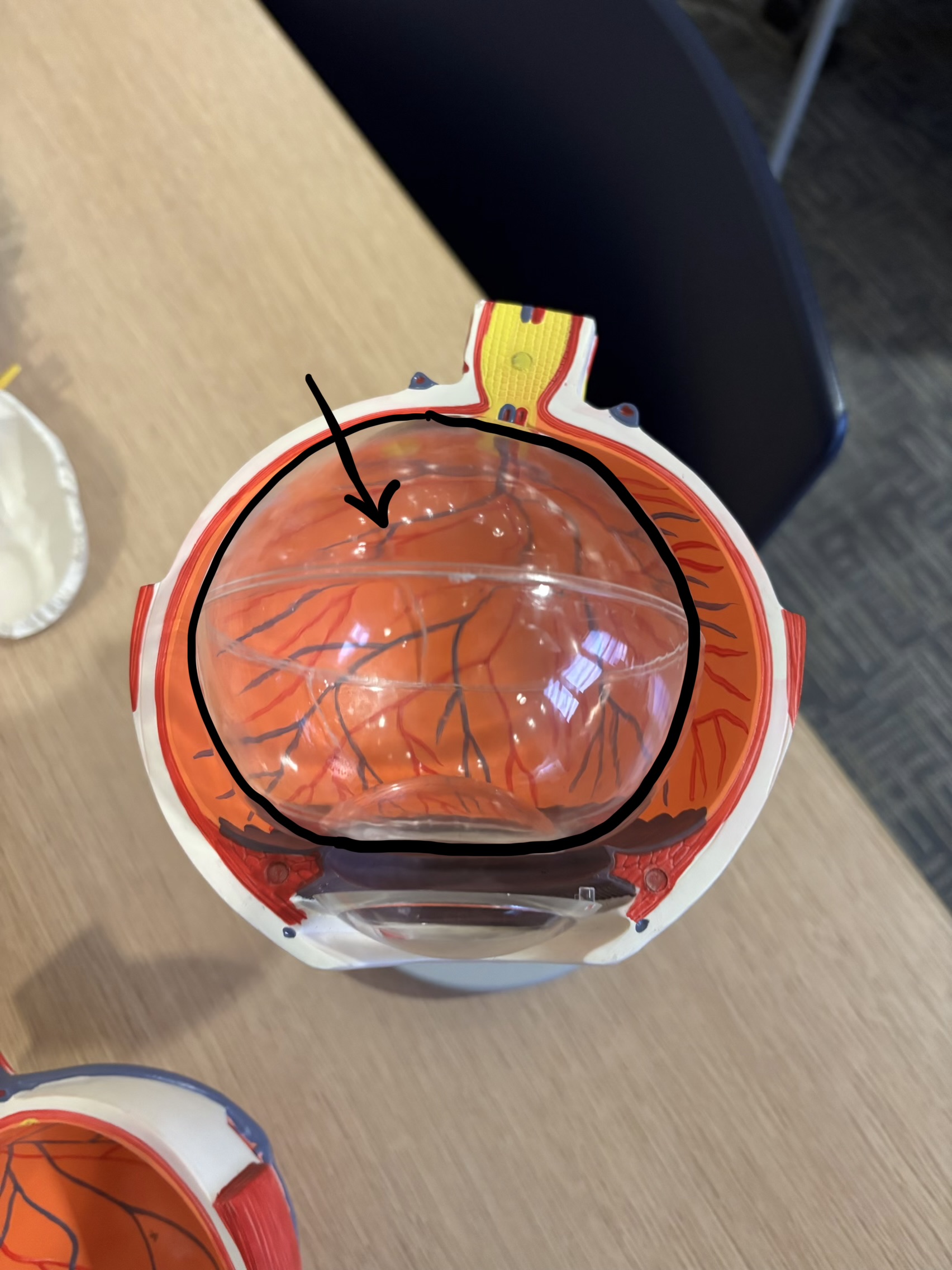 <p>What structure is this?</p>