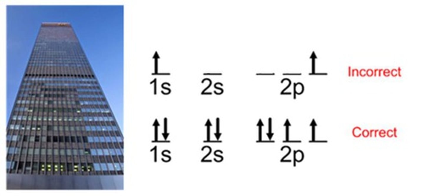 <p>Electrons occupy the lowest energy orbital that<br>can receive it first; Start with s before moving to p</p>