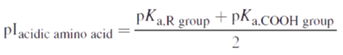 <p>For amino acids with charged side chains, such as glutamic acid and lysine, the titration curve has an extra "step," but works along the same principles as described above. Let's envision glutamic acid!</p><p>Because glutamic acid has two carboxyl groups and one amino group, its charge in its fully protonated state is still +1. It undergoes the first deprotonation, losing the proton from its main carboxyl group, just as glycine does. At that point, it is electrically neutral. . When it loses its second proton, just as with glycine, its overall charge will be -1. However, the second proton that is removed in this case comes from the side-chain carboxyl group, not the amino group! The carboxyl group in the side-chain is relatively acidic and has a pKa of around 4.2.</p><p>The isoelectric point for an ACIDIC amino acid (or amino acid with negative side-chain) can be calculated as indicated in the picture. For glutamic acid, it's: (4.2+2.34)/2=3.27</p><p>When the amino group deprotonates, the charge of amino acid will remain negative.</p>
