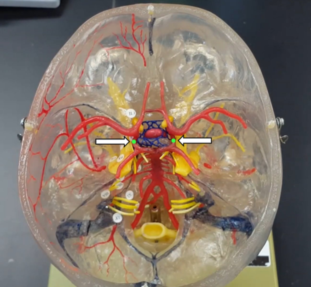<p>name the structure</p>