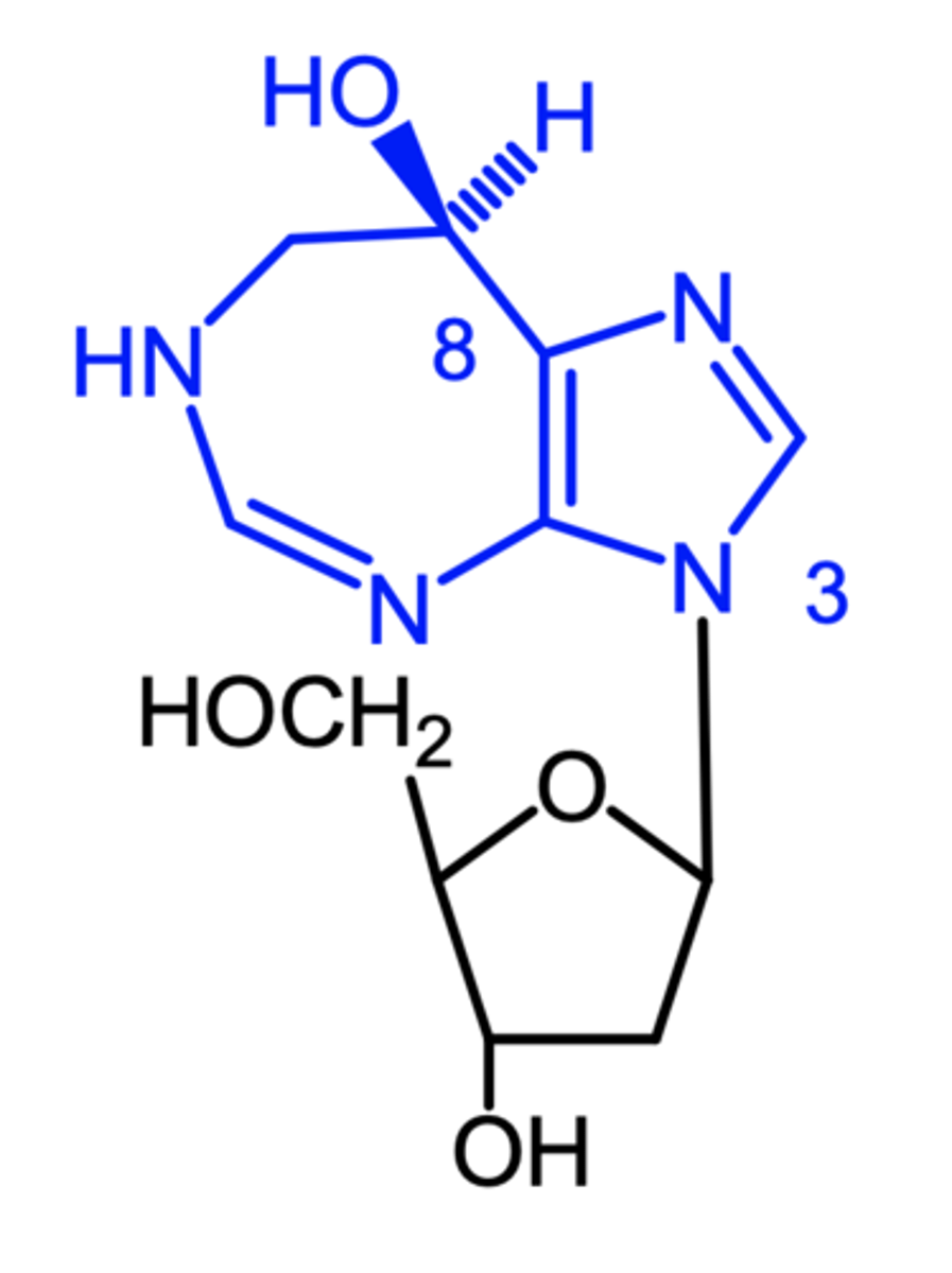 <p>(misc antimetabolite)</p><p>ROA: IV</p><p>MOA: indirect inhibition of ribonucleotide reductase</p><p>- inhibits adenosine deaminase, which leads to high levels of deoxyadenosine = inhibitor of ribonucleotide reductase, leading to stopping DNA synthesis in tumor cell</p><p>indication: b-cell chronic lymphocytic leukemia</p><p>- similar efficacy to fludarabine, but lower toxicity</p><p>AE: myelosuppression, rash</p>