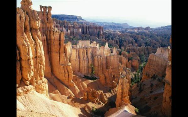 This photo was taken in:

a.       Grand Canyon National Park

b.      Zion National Park

c.       Capitol Reef National Park

d.      None of the above