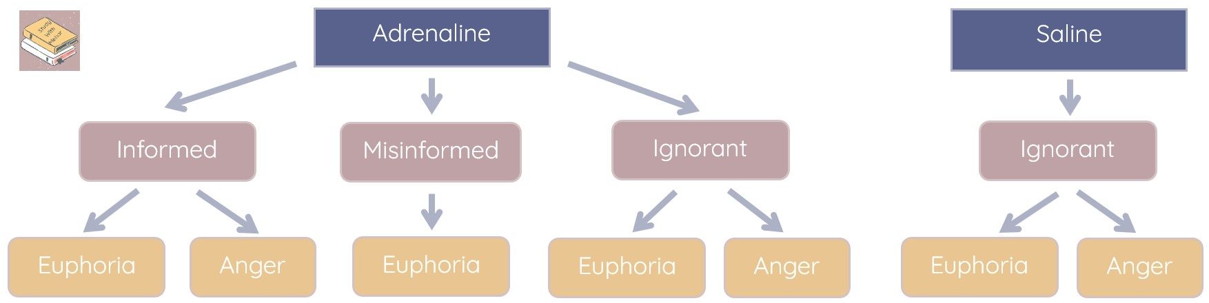 * There were two %%independent variables%% in this experiment which resulted in seven different conditions:

  
  1.  the knowledge about the $$injections$$; whether they were $$informed, misinformed or ignorant.$$
  2. emotional situation that the participant was placed into following the injection; either $$euphoria or anger.$$