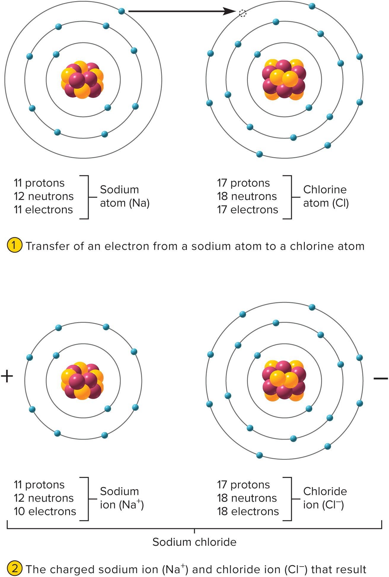 <p>electrons transferring from one to the other and turn both of them into ions</p>