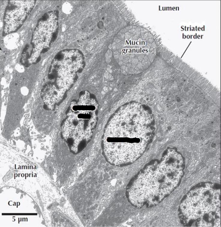 <p><span>Identification</span></p>