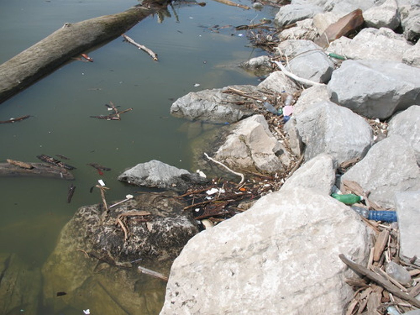 <p>nhiễm độc, nhiễm khuẩn</p>