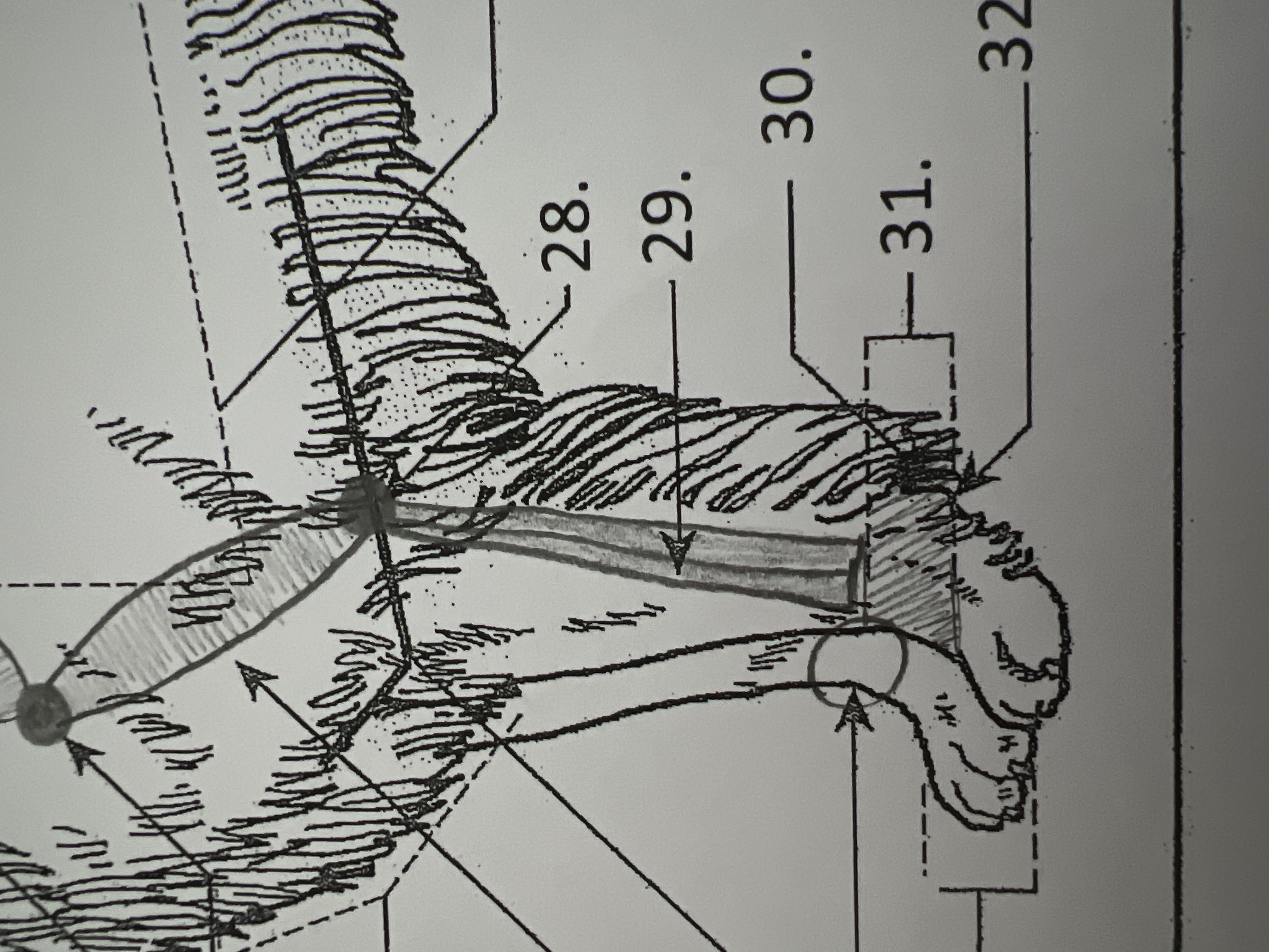 
29. \
