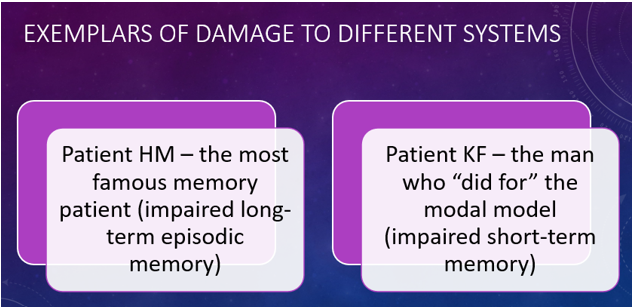 <p>A famous patient who suffered from anterograde amnesia after having surgery on his hippocampus to treat epilepsy. He learns that memory is a distinct cerebral function, separable from other cognitive abilities, and identified the medial aspect of the temporal lobe as important for memory.</p>