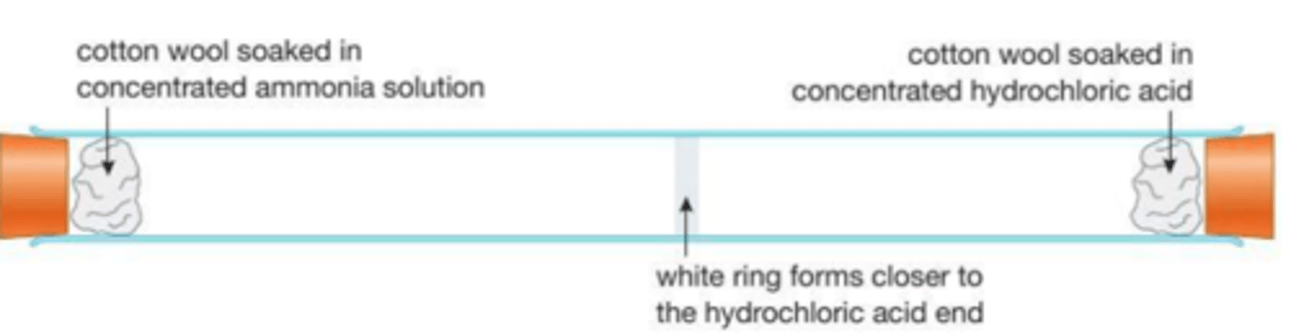 <p>place two pieces of cotton wool soaked in ammonia and HCl at opposite ends <br><br>NH4Cl forms and a ring forms closer to the HCl as the ammonia is lighter and travels faster</p>