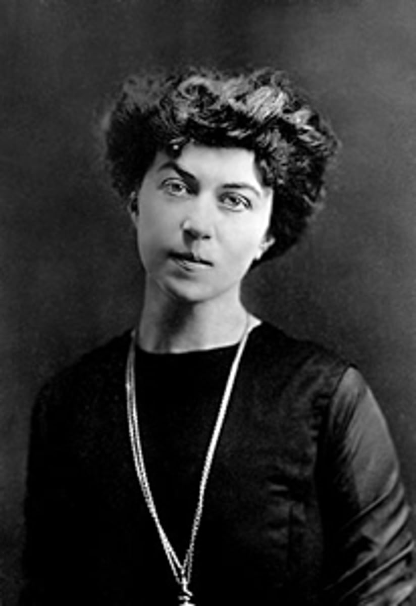 <p>Russian revolutionary and diplomat, commissar for social welfare in 1918 and head of the women's section of the Communist Party</p>