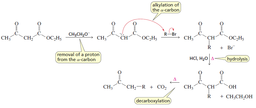 <p>Reactants/Reagents: Acetoacetic ester, base (-OR matching ester), alkyl halide, acid, water, heat</p><p>Products: Methyl ketone with ketone from acetoacetic ester, R group from alkyl halide</p><p>Same mech as malonic ester synthesis</p>