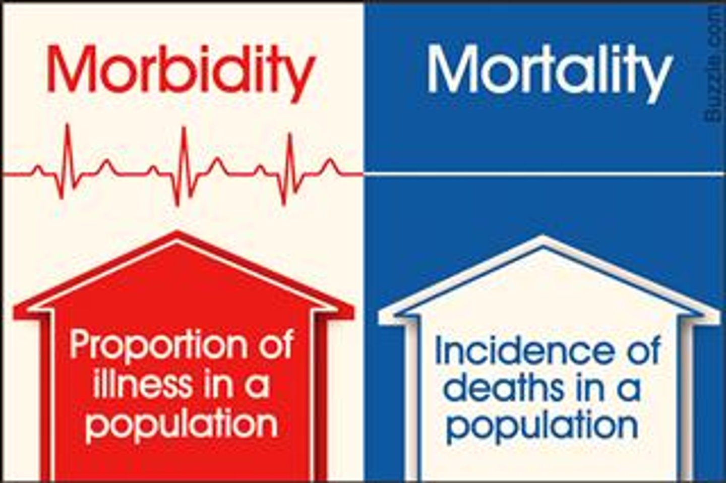 <p>= refers to having a disease or a symptom of disease, or to the amount of disease within a population<br><br>e.g., morbidity risk to COVID 19 is higher for certain groups of people<br><br>=&gt; the WHO measure morbidity using DALY's (Disability Adjusted Life Years)<br><br>... they measure the number of years of healthy life lost by being in poor health/state of disability</p>
