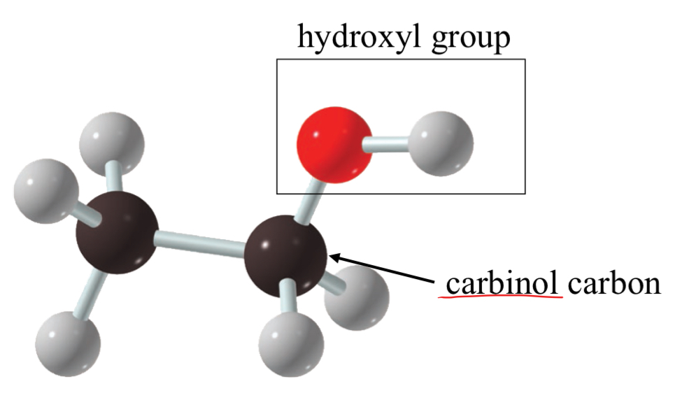 <p>R-O-H</p><ul><li><p>R = carbon-containing group (alkyl group)</p></li></ul>