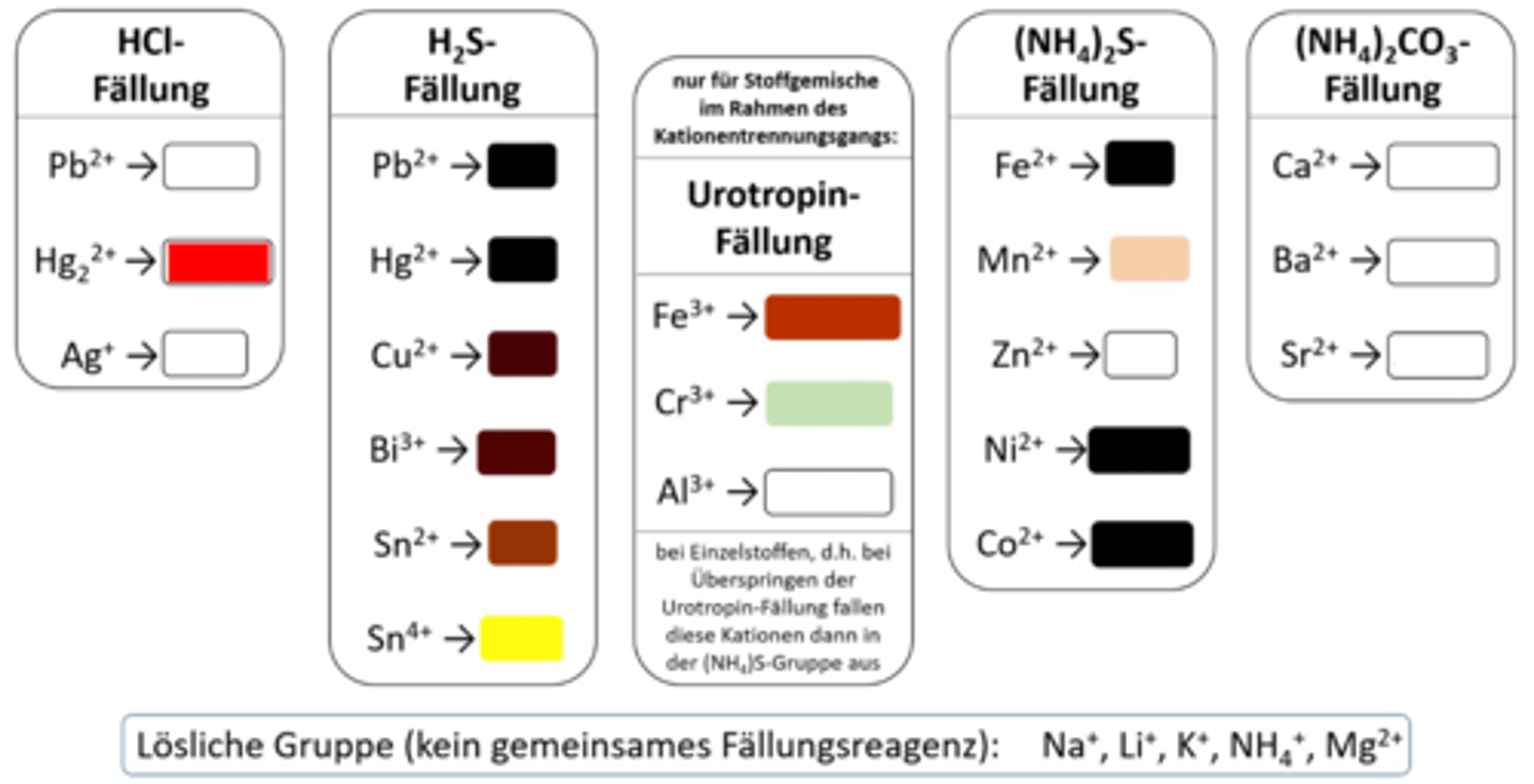 <p>Hg²⁺ NS (HCl)</p>